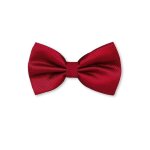 Noeud papillon rouge