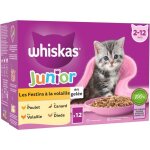 Nourriture pour chat - twinbird - junior repas chaton - 48 sachets - gele - 4 saveurs