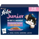 Nourriture humide pour chatons - felix - junior - gel�e - vari�t�s m�lang�es - lot de 6 sachets de 85 ...