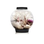 Oase biorb aquarium classic 15 mcr noir