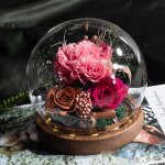 Oeillet �ternel fleur �ternelle - coffret d?illets le meilleur cadeau id�al pour femme maman grand - ...