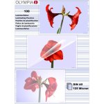 Olympia feuilles pour plastifieuse  chaud