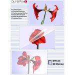 Olympia feuilles pour plastifieuse à chaud Olympia feuilles pour plastifieuse à chaud
