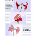 Olympia feuilles pour plastifieuse à chaud Olympia feuilles pour plastifieuse à chaud