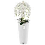 Orchid�e artificielle - botle - h 110 cm - fleurs blanches - pot moderne - entretien facile