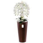 Orchid�e artificielle - botle - h 110 cm - fleurs blanches - pot en plastique - entretien facile