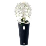 Orchide artificielle - botle - h 110 cm - fleurs ralistes - pot moderne - entretien facile