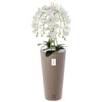 Orchid�e artificielle - mocca - h 110 cm - fleurs blanches - pot moderne - entretien facile