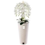 Orchidée artificielle - non spécifié - h 110 cm - fleurs blanches - pot en plastique - entretien facile ... Orchidée artificielle - non spécifié - h 110 cm - fleurs blanches - pot en plastique - entretien facile ...