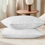 Oreillers en plumes doie 50x70 cm lot de 2 100% remplissage duvet et plumes doie oreiller de lit pour ...