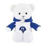 Ours paris 2024 bleu - 25cm