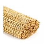 Paillon - nature - tiges de roseaux naturels pel�s - 5 x 1 m