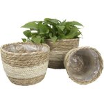 Panier de jardini�re dint�rieur en jonc de mer cache - pots de fleurs contenants pour plantes beige (lot ...