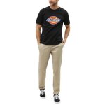 Pantalon chino dickies 872 rec