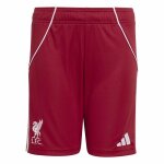 Pantalon court adidas sport lfc h sho y