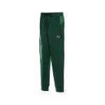Pantalon de survtement puma portugal fpf pumatech