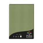 Papeterie - clairefontaine - pollen - 50 feuilles - vert sauge - mixte