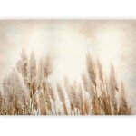 Papier peint intiss herbe de la pampa 350x256 cm dcoration murale xxl poster tableaux tapisserie trompe ...