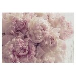 Papier peint intiss panoramique fleurs pivoines rose 350x250 cm tapisserie chambre salon photo non tiss ...