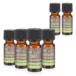 Parfum lot de 10 - fort de conifres orange citron vanille canelle et pin - frais de port offert