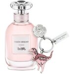 Parfum femme - coach - dreams edp - eau de parfum - 90 ml - 100 % authentique
