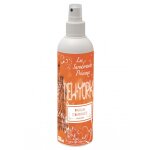 Parfum surodorant prcieux new york 250ml propre odeur