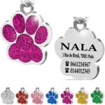 Patte en acier plaque m�daillon d?identification personnalis� pour collier chien chat animaux de compagnie ...