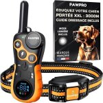 Pawpro collier de dressage pour chiens porte de 3km mode lumire nocturne guide de dressage inclus bip ...