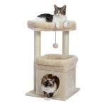 Pawz road petit arbre � chat 60 cm tour de jeux avec 2 poteaux � griffer robuste 1 condo spacieux & 1 ...