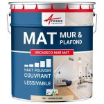 Peinture acrylique mate pour mur et plafond : arcad�co mur mat - 10 l ivoire clair - ral 1015