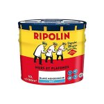 Peinture acrylique ripolin collector monocouche blanc mat 10 l