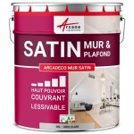 Peinture acrylique satin pour mur et plafond : arcadco mur satin 10 l - gris clair - ral 7035