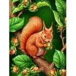 Peinture diamant 5d - chat - diy diamond painting - animaux cureuil - perage complet - strass - peinture ...