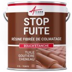 Peinture fibre de colmatage rparation tuile gouttire - bouchetanche 2. 5 l - tuile