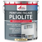 Peinture faade pliolite : arcafacade plioprotect 10 l ( + ou - 80 m en 1 couche) - jaune paille - ral ...