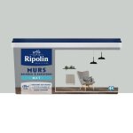 Peinture murs boiseries radiateurs ripolin mat gris lom 25 l