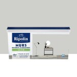 Peinture murs boiseries radiateurs ripolin satin gris c�tus 25 l