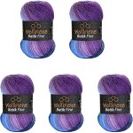 Pelotes de laine wollbiene batik fine 5x100g multicolore d�grad� violet baie bleu