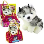 Peluche leantoys chien husky dans un sac peluche mascotte peluche blanc et gris