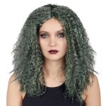Perruque de sorcire - ptit clown - 22173 - accessoire dguisement carnaval halloween cosplay fte - ...