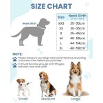 Pettom collier chien(bleu xs) collier pour chien gros / moyen / petit en nylon réfléchissante réglable ... Pettom collier chien(bleu xs) collier pour chien gros / moyen / petit en nylon réfléchissante réglable ...