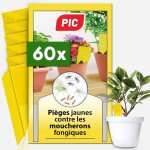 Pic anti moucherons plantes int�rieur ? 60 pi�ges englu�s recto - verso alternative durable et efficace ...