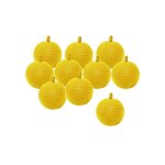 Pi�ge anti - moucherons plantes int�rieur jaune collant contre mouches fruits pucerons fourmis terreau ...