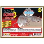 Piges  glu - acto - rats et souris - support bois - tui de 2