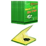 Pige  souris - 10 plaques de glu collante - pige  rats efficace - attrape souris - vert - 21 x 31 ...
