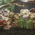 Pierre du dragon - vidaxl - 10 - 30 cm - naturelle - sûre - décoration aquarium Pierre du dragon - vidaxl - 10 - 30 cm - naturelle - sûre - décoration aquarium