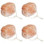 Pierre � l�cher au sel de lhimalaya - vidaxl - lot de 4 - forme cylindrique - 9. 5 kg - rose - pour ext�rieur ...