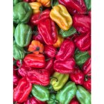 Piment frais habanero 150g - piment fort naturel - saveur intense et parfume - idal pour sauces marinades ...