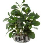 Plantes artificielles peperomia fausses plantes avec ciment pot pour chambre maison salle de bain chambre ...