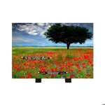 Plaque fun�raire en granit fleur de papaveri